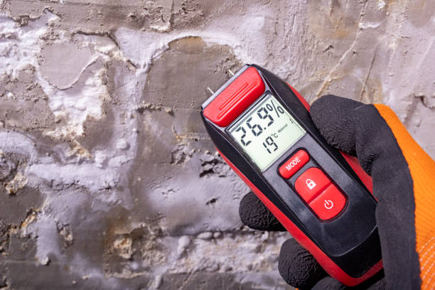 Best Commercial Mold Removal  in Julesburg, CO