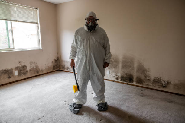 Best Mold Testing  in Julesburg, CO